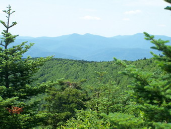 picture taken during a hike