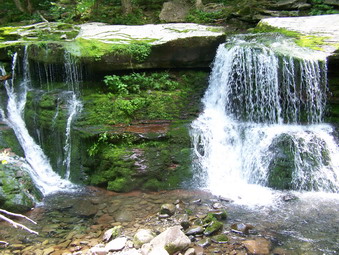 picture taken during a hike