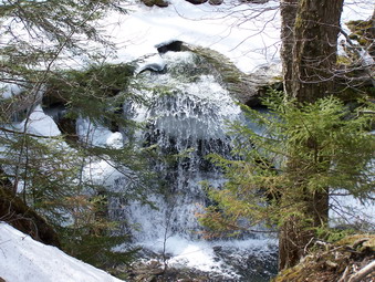 picture taken during a hike