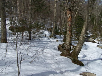 picture taken during a hike