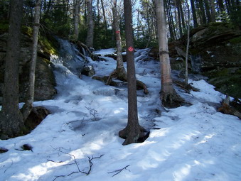 picture taken during a hike