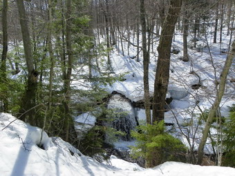 picture taken during a hike