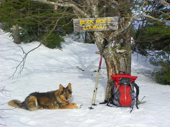 picture taken during a hike