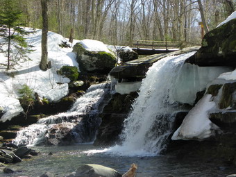 picture taken during a hike