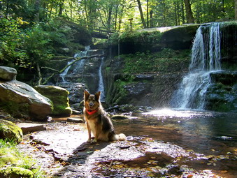 picture taken during a hike