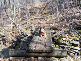 picture taken during a hike