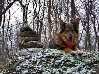 picture taken during a hike