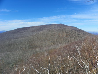 picture taken during a hike