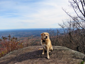 picture taken during a hike