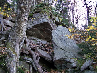 picture taken during a hike