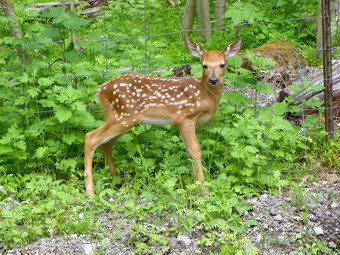 picture taken during a hike