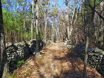 picture taken during a hike