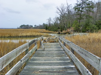 picture taken during a hike