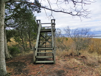 picture taken during a hike