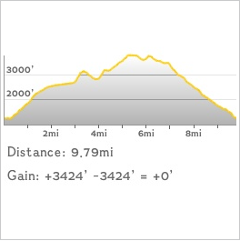 CHH peak map