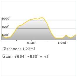 NJ1K profile