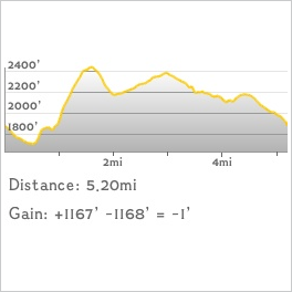 CHH peak profile