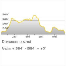 NJ1K profile