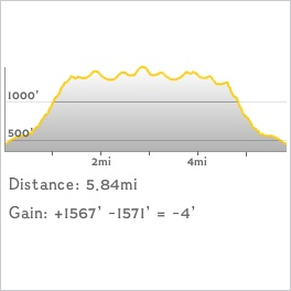 NJ1K profile